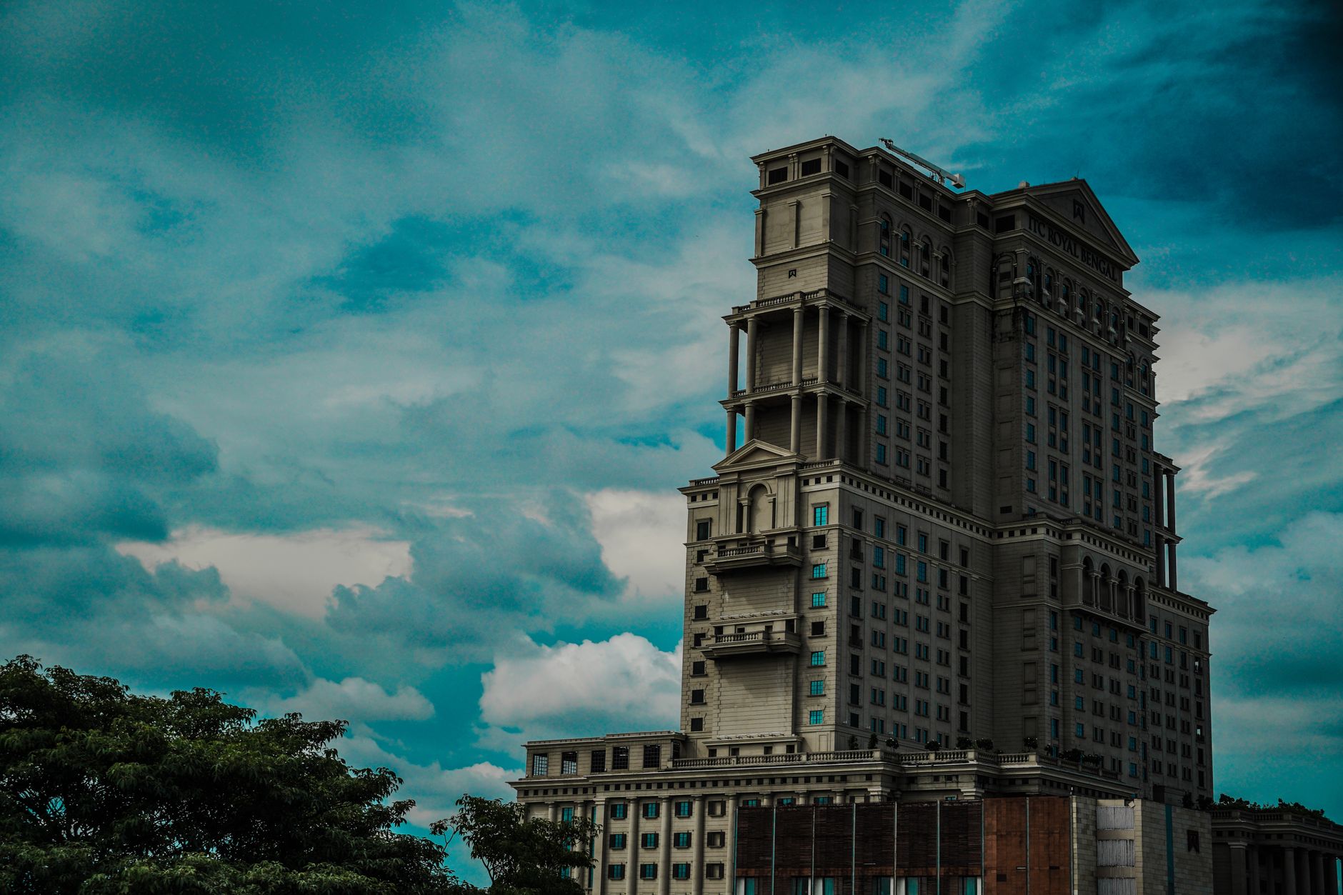 sewa harian apartemen royal mediterania
