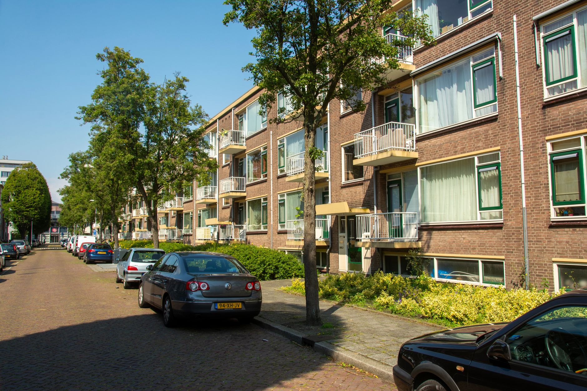 Apartemen modern di Holland Village, nyaman untuk disewa dengan fasilitas lengkap dan akses transportasi mudah