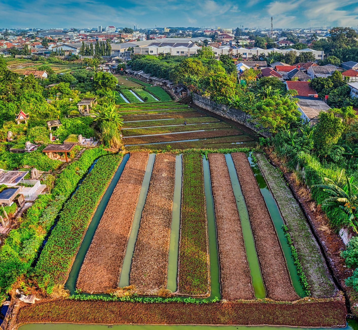 Ruko Agricola dengan desain modern, area parkir luas, dan tampilan toko yang menarik bagi pebisnis